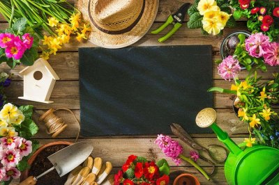 农村生活过的人,才能看懂这篇文章