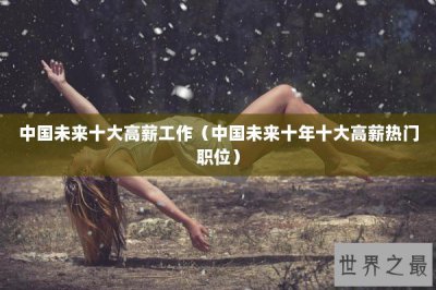 ​中国未来十大高薪工作（中国未来十年十大高薪热门职位）