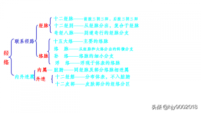 ​经络学 经络的基本概念与组成