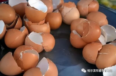 ​鸡蛋壳是什么垃圾分类（垃圾分类 | 鸡蛋壳是什么垃圾？）