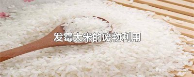 ​发霉的大米怎么处理能提高利用率 发霉的大米怎么利用