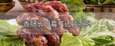 ​香肠白点是发霉吗 香肠表面有白霉图片