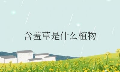 ​含羞草是什么植物