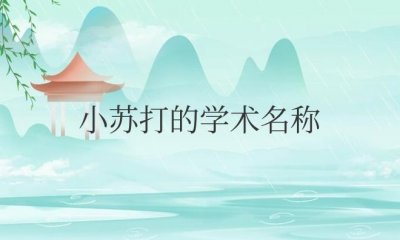 ​小苏打的学术名称是氢氧化钠吗