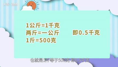 ​一市斤等于多少克多少两