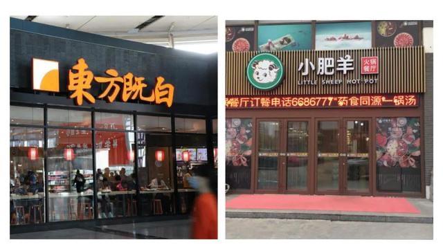 网络配图