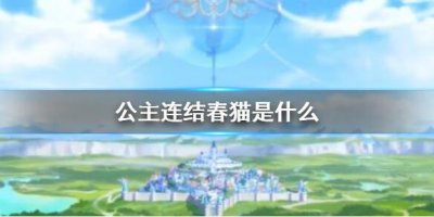 ​公主连结春猫是什么