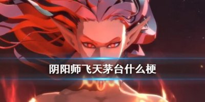 ​阴阳师飞天茅台什么意思梗的介绍
