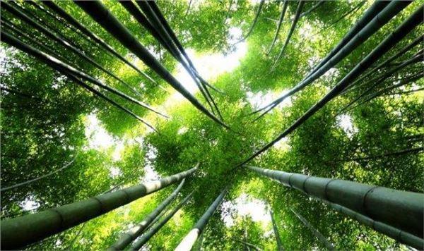 五毒月即将来临，盘点五毒月的注意事项！