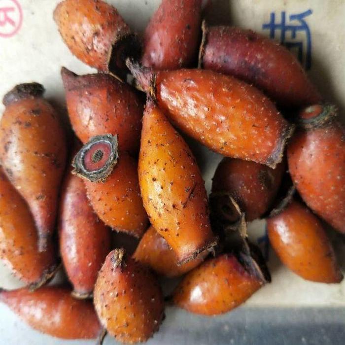 农村5种带刺果子, 食用效果不错少有人知