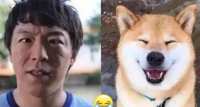 “撞脸狗”多可怕？周杰伦A级，黄渤S级，千玺SSS＋神同步！