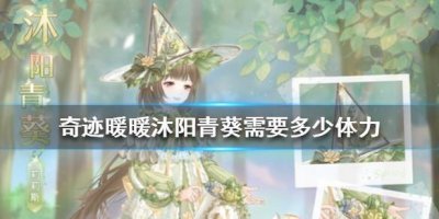 ​奇迹暖暖沐阳青葵需要多少体力