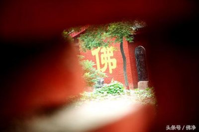 ​佛教故事 学着做人