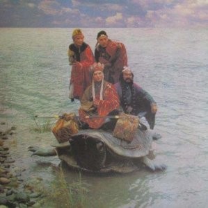 ​历史上最大的龟，体长5米，比大象还重，龟背上坐人完全没问题