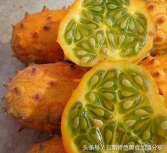 ​到目前为止世上最全的40种瓜图集，估计没有几个人认全