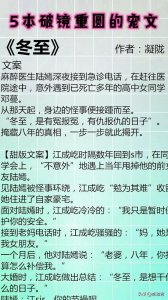 ​5本破镜重圆的甜宠文-强推《冬至》一定不要错过