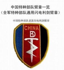​中国特种部队臂章一览