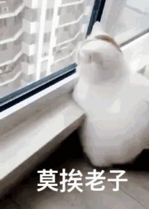 ​莫挨老子是什么意思 高清表情包大全分享