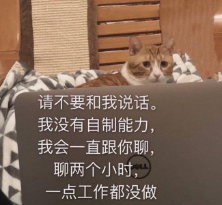 ​表情包：不想聊天！系列