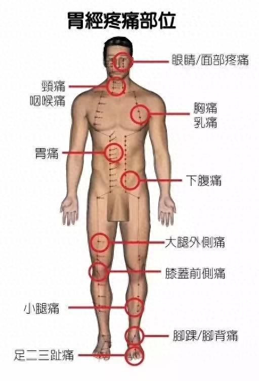 五脏六腑经络疼痛区域划分图