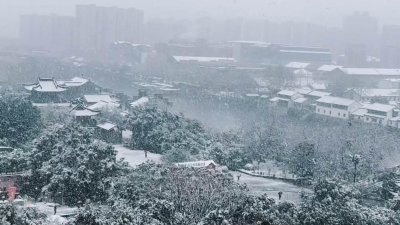 ​南方下起暴雪，覆盖多地，为何此次南方雪量如此之大？
