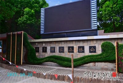 ​玩转上海（18）上海共青国家森林公园