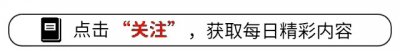 ​互联网+夕阳红：解锁中国十大智慧养老APP，让爱触手可及！