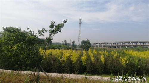 郑州郑新黄河大桥，上面是公路下面是高铁的公铁两用桥