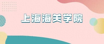 ​上海海关学院近几年录取分数线（含2022-2024历年最低分）