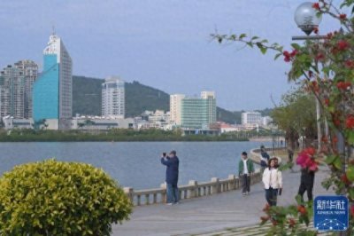 ​新华全媒+｜从臭水湖到“城市会客厅”——厦门筼筜湖的生态蝶变