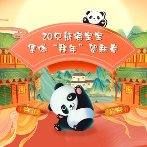 ​高萌！20只熊猫宝宝集体“拜年”贺新春