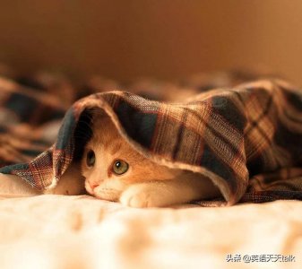 ​老外常说的“I