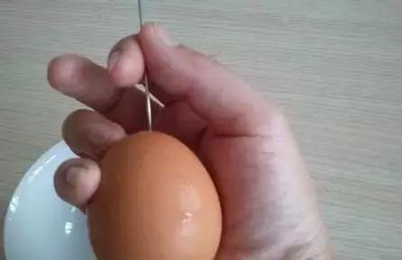 完整的蛋壳手工制作（陪孩子一起做手工吧）(7)