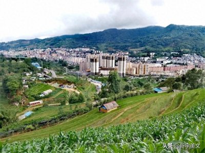 ​金平各族人民清除匪患安定边疆的故事
