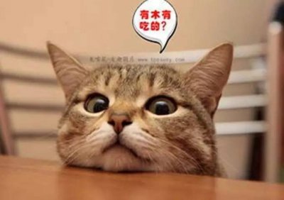 ​吃货福利，寻找九方周边美食（上）