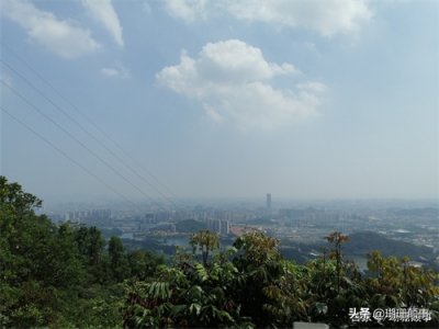 ​东莞长安莲花山，有事没事爬爬山，身体健康好做事