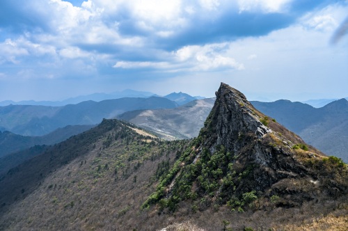 走入秦岭：分水岭经朝天场穿越高山草甸，赏杜鹃花开