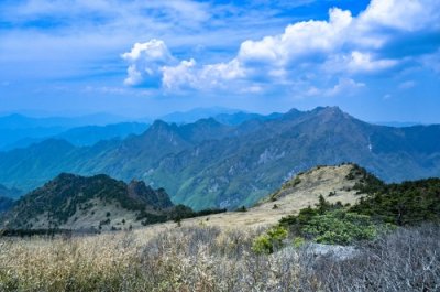​走入秦岭：分水岭经朝天场穿越高山草甸，赏杜鹃花开