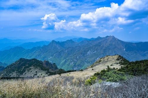 走入秦岭：分水岭经朝天场穿越高山草甸，赏杜鹃花开