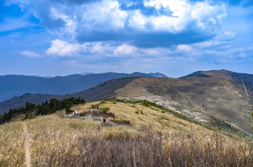 走入秦岭：分水岭经朝天场穿越高山草甸，赏杜鹃花开