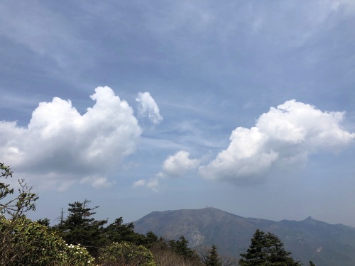 走入秦岭：分水岭经朝天场穿越高山草甸，赏杜鹃花开