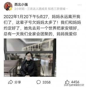 ​悲痛西北小强妈妈永远离开了