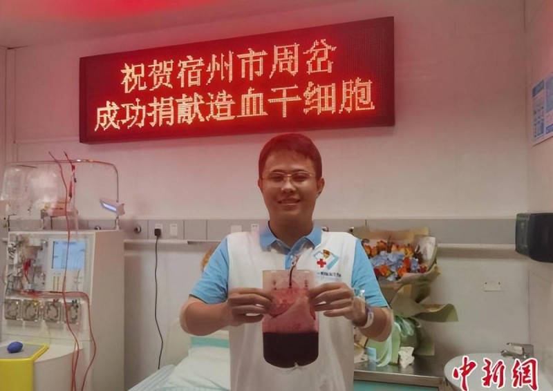 蛇的电影大全盘点（十一部蛇蛛鼠成灾的欧美灾难电影）