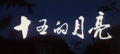 ​这才是真正的对越自卫反击战电影（10部优秀的对越反击战电影）