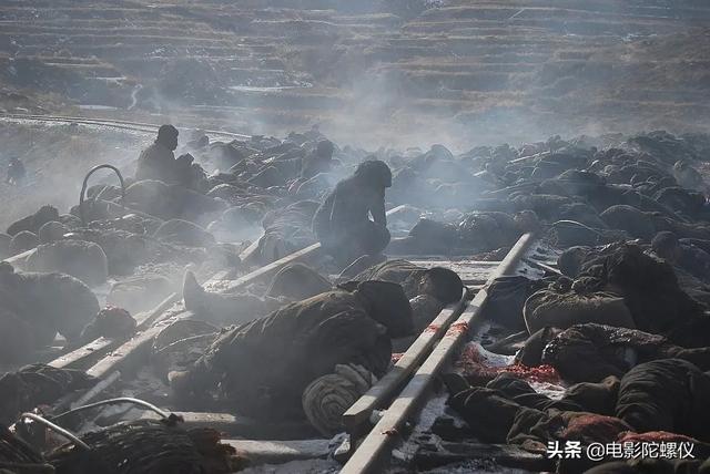 1942票房为何惨淡（不敢看第二遍的电影）(6)
