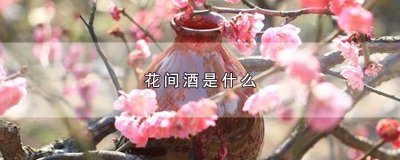 ​花间酒电影在线观看 花间一壶酒是电影吗
