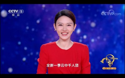 ​《中国诗词大会》第八季热播中，前七季哪位总冠军含金量最高？