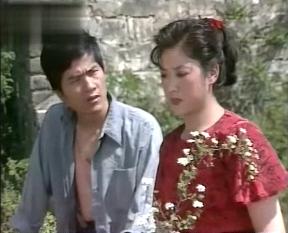 平凡的世界1990版电视剧（1989年电视剧平凡的世界）(6)