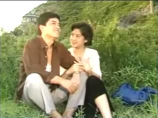 平凡的世界1990版电视剧（1989年电视剧平凡的世界）(14)