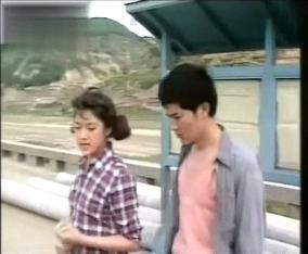 平凡的世界1990版电视剧（1989年电视剧平凡的世界）(4)